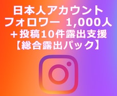 IG:フォロワー獲得と投稿露出を支援します Instagram／フォロワー＋既存投稿／初期露出パッケージ