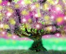 主にタロット占いをします 恋愛、仕事、人間関係、願望成就等。何でも気軽にご相談下さい