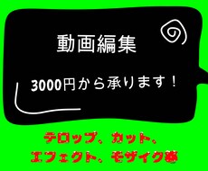 YouTube向けの動画編集承ります イメージ1