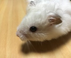愚痴や悩み、その他話したいこと、聞きます イメージ1