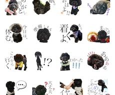 格安でオリジナルLINEスタンプ作ります イメージ1