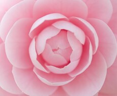 大丈夫だよ！あなたのがんばりを応援します。でも、ダメな時は、しっかり叱ります。 イメージ1