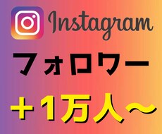 あなたのインスタフォロワーを＋1万人増やします 海外フォロワー＋10000人〜 １万人以上拡散も
