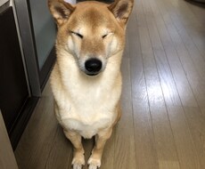 行き場のない気持ちを承ります イメージ1