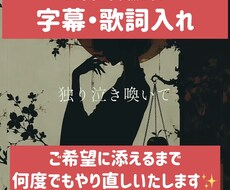 ショート動画等字幕・歌詞入れます イメージ1