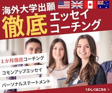 海外大学出願エッセイ１か月徹底コーチング致します コモンapp、SOP、国際教養学部入試対策 合格のコツを伝授