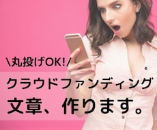 クラウドファンディング用の文章作成します 売れる文章構成＆クラファン経験者のコツ伝授します