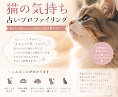 愛猫の本音と絆を読み解きます イメージ1