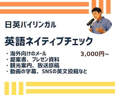 英語ネイティブチェック｜日英バイリンガルが直します イメージ1