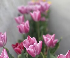お友達感覚でお話ききます イメージ1