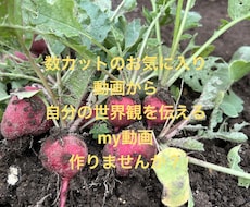 SNS向け縦型リール用動画の編集をします 丸投げOK！縦型リール用動画の編集