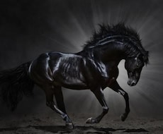 初心者でも競馬で副業!!投資術教えます