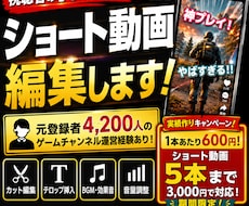ショート動画5本3000円で編集します イメージ1