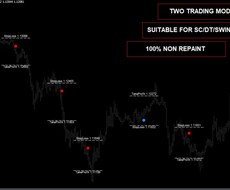 FXツールと資金管理方法をセットでお渡します エントリーに不安がある方、SLとTPが明確に決められない方へ