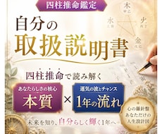 自分の取扱説明書　四柱推命で本質と1年を読みます イメージ1