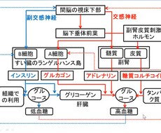 進学校1位が高校生物、化学、わかるまで教えます イメージ1