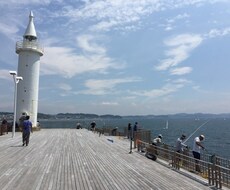 貴方の悩み、解決は出来ないけど、納得させます。解決出来る悩みなんてない、だって悩みだから。 イメージ1