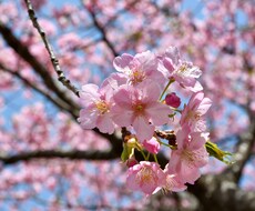 生活の愚痴など様々なお話を聞きます イメージ1