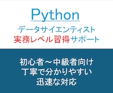 Python学習：ビデオでPython教えます データサイエンティストの実務レベルのスキルを身に着けよう！