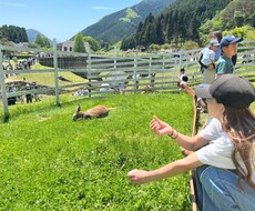 お話相手になります イメージ1