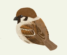リアルな鳥のイラストを可愛らしく描きます イメージ1