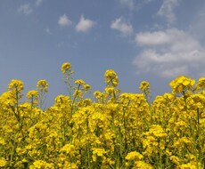 あなたの悩み聞きます イメージ1