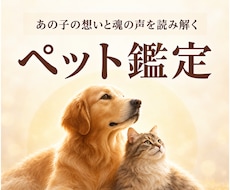 天啓ペット霊視 | 愛するペット様の想いを伝えます イメージ1