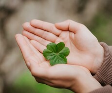 あなたの小さな幸せ話を聞きます イメージ1