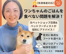有資格者|愛犬のごはん食べない問題を解決します 元ペットショップ店員×ペットフーディストが個別アドバイス！