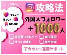 Instagramリアル外国人フォロワー増加します 初めてでも安心！海外フォロワーをお手頃価格でご提供
