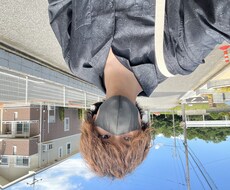 辛いと感じた時寂しいと思った時に相談乗ります イメージ1