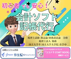 会計ソフト記帳代行/確認を公式本掲載の私が行います イメージ1