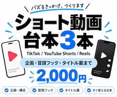 ショート動画の台本を3本作ります イメージ1