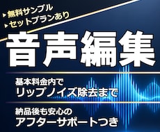 ノイズ除去・尺合わせ編集／リップノイズもケアします イメージ1
