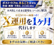 月12ポスト＋画像つき！X運用を1ヶ月代行します イメージ1