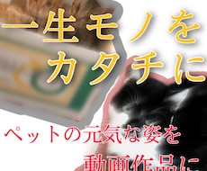 大好きなペットの元気な姿を動画作品にします イメージ1