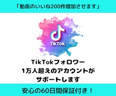 Tiktokのいいねを200件増やします イメージ1