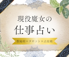 限定特価★魔法の力★あなたの仕事のお悩みに答えます 西洋魔術のカリキュラムを修了した現役魔女によるリーディング