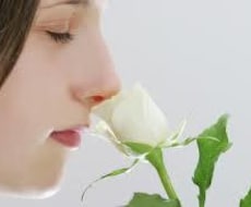 世界にひとつ貴女だけのアロマ香水を作ります イメージ1