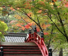 あなたの取扱い説明書作成いたします イメージ1