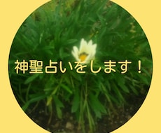 神聖占いをします カテゴリの分類別は、神聖占術です。
