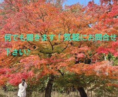職場の悩み、育児の悩み、何でも聞きます イメージ1