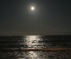 あなたの心の声を真摯に聞きます イメージ1