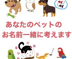 ペットの名前一緒に考えます イメージ1