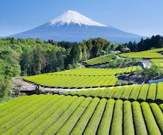 静岡県の写真・動画出張撮影承ります 静岡全域へ出張撮影！写真・動画のプロが高品質に撮影します