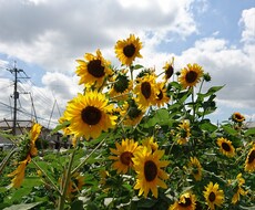 自身喪失気味の方へ元気回復のお手伝いをします イメージ1