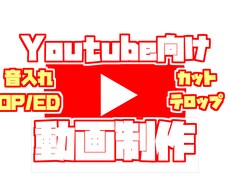 Youtube向け動画制作承ります 高品質、短納期、低価格を目指して