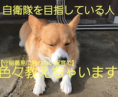 自衛隊を目指している方の疑問に答えます イメージ1