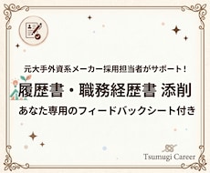 あなた専用の解説シート付き！採用のプロが添削します イメージ1