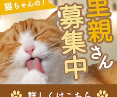 目にとまる！優しいバナー・ヘッダー画像を作成します イラスト付きのバナーも制作可能！柔らかいデザインを提供します